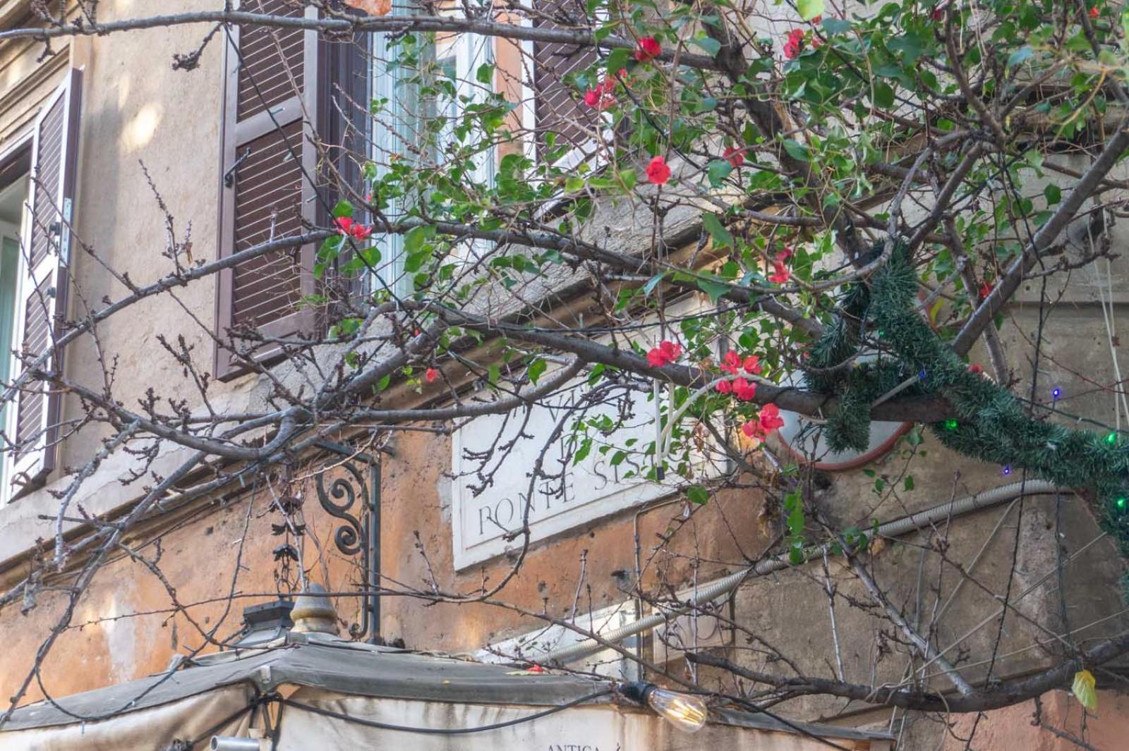 Lusso E Panorama Senza Paragoni, Loft Trastevere Roma Eksteriør bilde